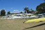 rowing-regatta-2014 009